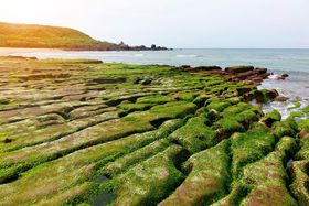 �I�v�V���i���c�A�[�ōs���I��p�E�t�̕s�v�c�Ȑ�i�c�A�[�̋L���T���l�C��