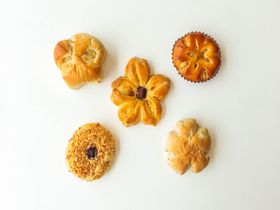 �n�������ӂ��I���c�ŐV�����n�p���u�a�l�p���v���̔��X�^�[�g