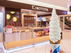 lC[6AeÎƂV΋`X̋ɏ㋍\tg