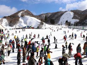 日本最速の高速リフトがすごい！滋賀・奥伊吹スキー場で滑ろう