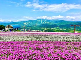 }EeJ[gVoI򕌁uЂ邪̃sNjbNK[fvNI[v̋LTlC