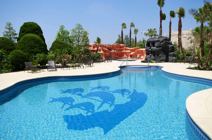 iCgv[oIǂ̃zẽv[킢