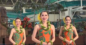 �������Ń��]�[�g�C���I�u�X�p���]�[�g�n���C�A���Y�v�I�����C�����ʃV���[�̋L���T���l�C��