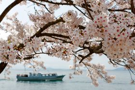 ���{�����疼��100�I�u�C�Ñ��v�ցI���Ԍ���ł��Ԍ��N���[�Y�^�q�̋L���T���l�C��