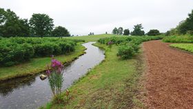 �ł����Ẵo�^�[�T���h���B�Z�Ԓ����^�c����΂Ɉ͂܂ꂽ�뉀�u�Z�Ԃ̐X�v�̋L���T���l�C��