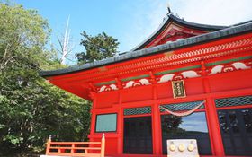 �M���W�߂����������͓���ƍN�H�s�S������߂���i�p���[�X�|�b�g�u�ԏ�_�Ёv�̋L���T���l�C��