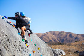 _Ci~bNIJXgn`uAXvI[v̋LTlC