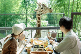 �L�����ƒ��H��!?�O�����s���O�{�݁uTHE BAMBOO FOREST�v�̐l�C�I�v�V�������ĊJ�I�̋L���T���l�C��