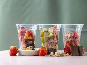 hoC`RVoIMĈXłƂ낯`R̂XC[c̔