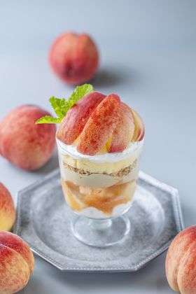 ÉETAMAGOYAx[J[JtFœXC[cƂ낱tFAJÒ̋LTlC