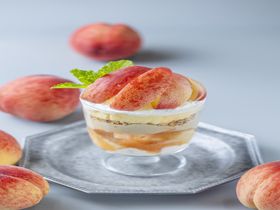 ÉETAMAGOYAx[J[JtFœXC[cƂ낱tFAJÒ