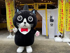 ねこ・ネコ・猫！東京「第17回 ねこまつり at 湯島」