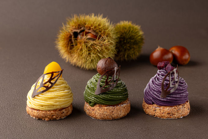 sS̃OWA[zeŏH̖o𖞋iI