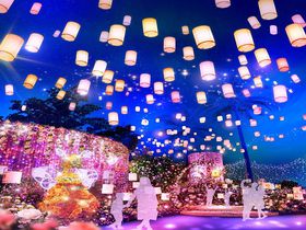 �e�[�}�̓o���I�Ђ炩���p�[�N�̃C���~�l�[�V���������N���J��