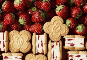 ɌIiEXC[cXuɌo^[Thv̋LTlC