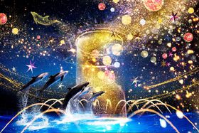 ԌI}NZ ANAp[NiuNAKED STAR AQUARIUMv̋LTlC