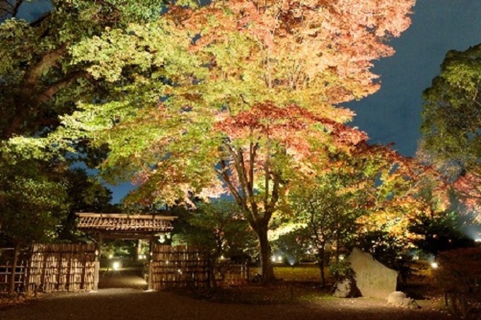 紅葉ライトアップが絶景！東京・六義園で夜間特別観賞を実施
