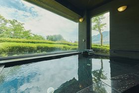 �ǃR�X�p�I�t�H�[�g���[�g������Ό����u�w���O���[�v�������v�����v�̔��J�n�̋L���T���l�C��