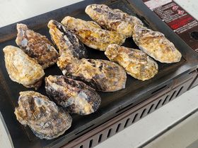 シーズン到来！淡路島タコステで旬の牡蠣食べ放題がスタート