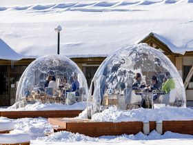 冬季限定！青森・奥入瀬かまくらドームレストランがオープン