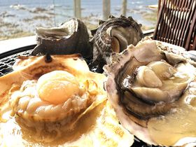 期間限定！ホテルグリーンプラザ鴨川で海鮮網焼き食べ放題プランを販売のサムネイル