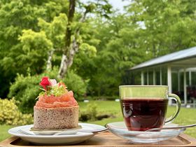 箱根の宿が美術館とコラボ！お得なチケット付きプランを販売中のサムネイル