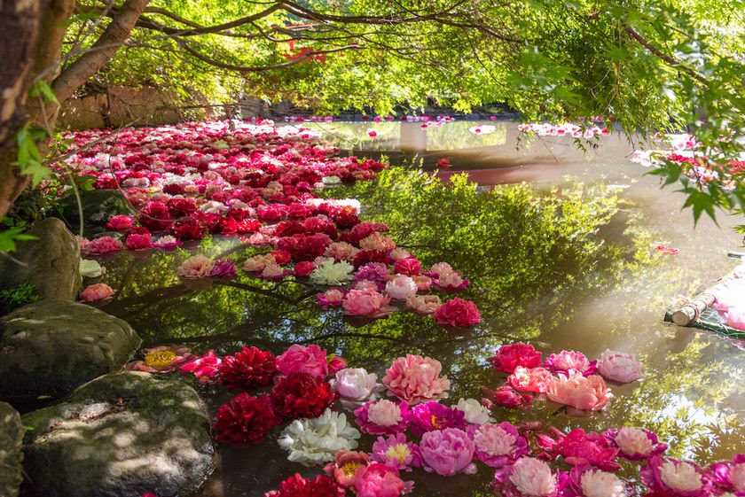 �󏭂ȕi����I���������O���V���N���N�����ɍs����