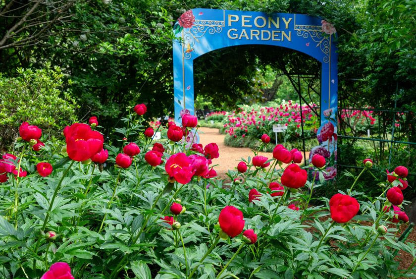 �󏭂ȕi����I���������O���V���N���N�����ɍs����