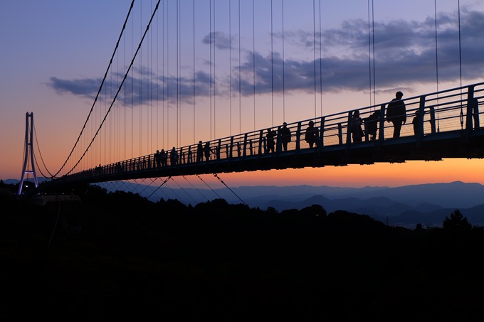 �܂��ɐ�i�I�g�t�~�x�m�R�~�x�͘p�Ɋ���