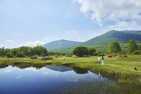 3Aȏōő20ItIH`~̗sIHGzeY][c߂̋LTlC