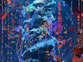 829JI_˂Łu吐 with EiM ANAEvJÒ