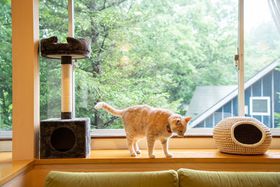 �˂������ƈꏏ�I�t�H���X�g�q���Y�ߐ{�ɐV���[�����o��̋L���T���l�C��