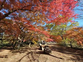 gtnOyIʁuRkJgt܂vNJÂ̋LTlC