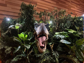 ���ĐG��Ċw�ׂ鋰���C�x���g�I�W�����V�b�N���C�Yin��݂��胉���h�����������̋L���T���l�C��