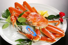 ���N�����t�K�j�������ցI�����E�B��v���U�z�e���ŏ��t�K�j�t�v�����̔����̋L���T���l�C��