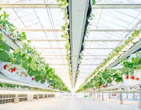 �N���N�n���c�ƁI���l�u�V��̂��������v�����V�[�Y���̉c�ƊJ�n�̋L���T���l�C��