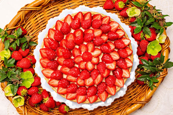 �������I�������I�������I���߂����ŏ{�̂������𖞋i