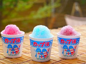 生ビール飲み放題！かき氷食べ放題！「ゆとりろ日光」が夏休み限定サービスを開始の記事サムネイル