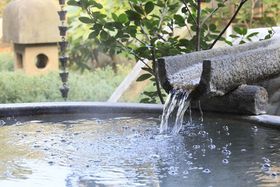 �ő�20%OFF�Z�[�����{���I�u�䂪��畗��v�����I�V���C�t�q���𑝎��̋L���T���l�C��