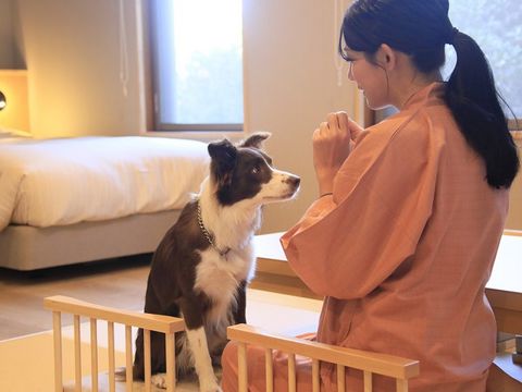 4��29���I�[�v���I�����Ɣ��܂�鉷�򗷊فu���艜����with DOGS�v