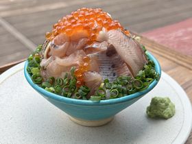 ̏E܂\Ỉw ɓPu܂̋tFAv