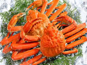 今だけカニ食べ放題付き！ホテルグリーンプラザ軽井沢で冬のプチ贅沢旅のサムネイル