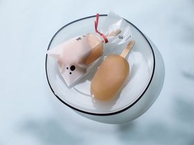 �Ђ���V�H���I�R�`�̘V�܉َq�X���u�������ڊ��o�[�v�𔭔�