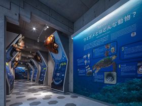 �u���a�����݂��ߔ����� �J���b�^�v�̃O�����h�I�[�v���X�P�W���[��������I