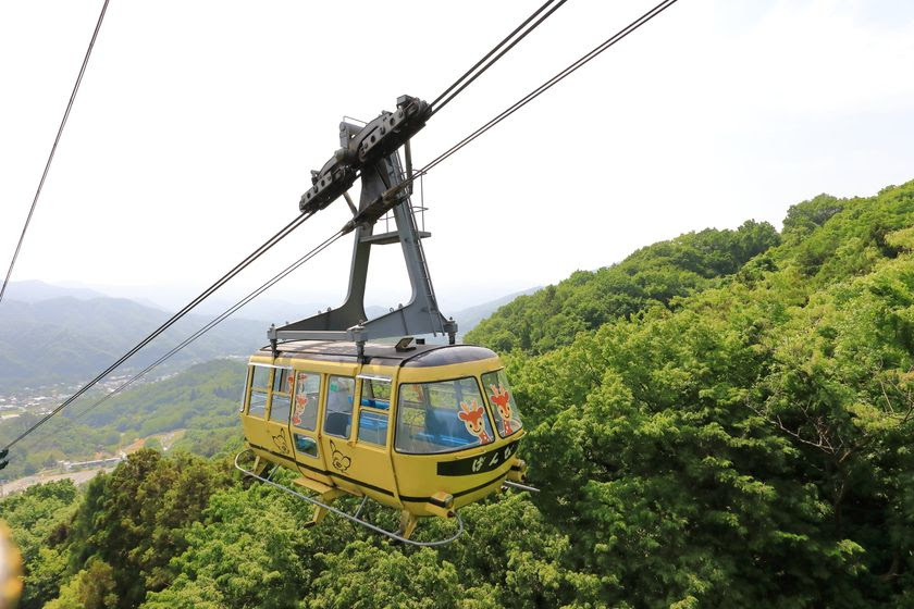 ��i���y���߂�x���`���I�ʐ^�f���o�b�`���̃h�����N���o��