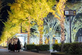 130̌PIa̎RsŃC~l[V500@̃h[V[JÂ̋LTlC