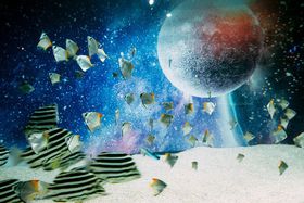 Ђ炩p[NɐVGAoIuvlbgANAE|[gvŖv̌̋LTlC