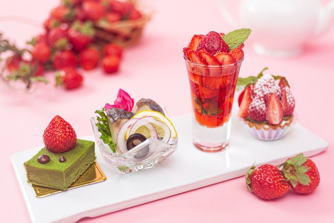 �{�̂�����������I�ڂɂ��N�₩�ȗ����������낢