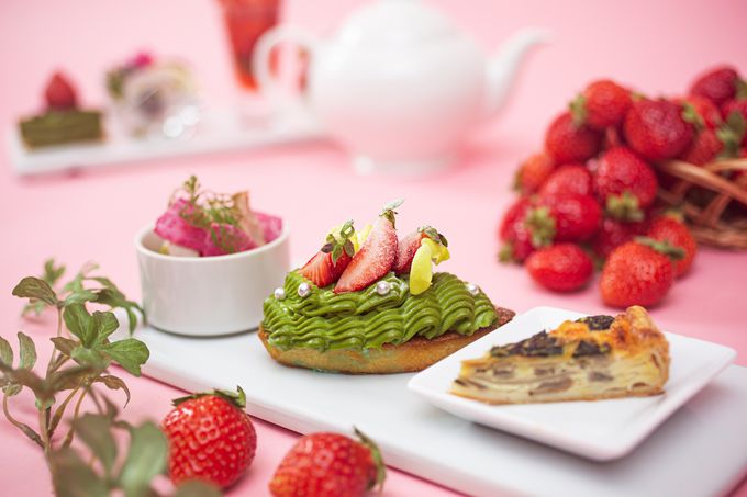 �{�̂�����������I�ڂɂ��N�₩�ȗ����������낢