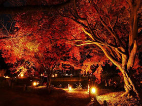 ���s�{���A�����ŊJ�ÁI�u�߂���߂��H�̃{�^�j�J���K�[�f���v